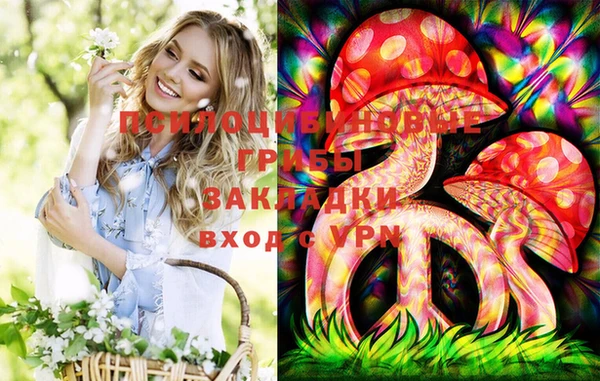 спайс Саяногорск