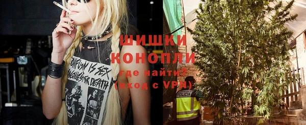 индика Сафоново