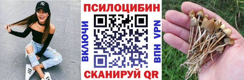 blacksprut tor Беслан Псилоцибиновые грибы ЛСД
