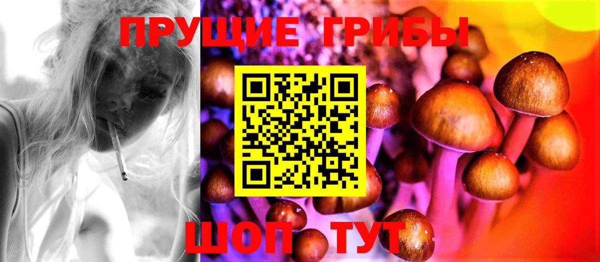 Галлюциногенные грибы GOLDEN TEACHER  Вход с VPN  Беслан 