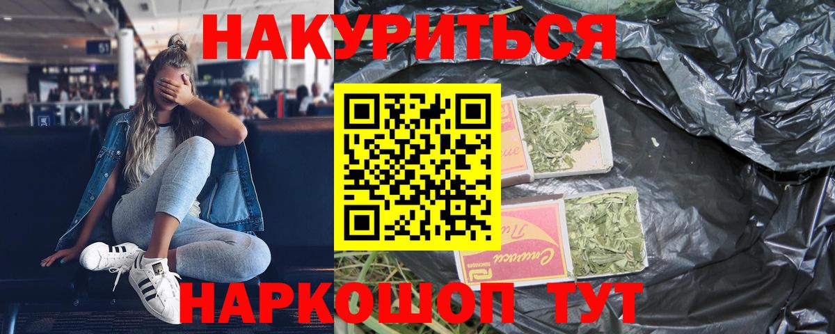 Конопля сатива Беслан